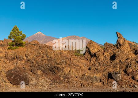 Blick auf den Teide und Pico Viejo in der Nähe von Mirador de los Poleos Stockfoto