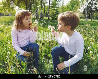 Junge und Mädchen auf dem Rasen. Süße Kinder pflücken Wiesenblumen und blasen auf Löwenkerne Stockfoto