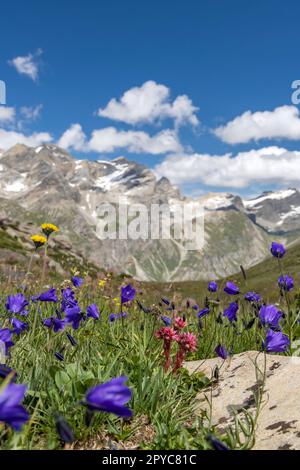 Landschaft in der Nähe von Col de l'Iseran, Savoy, Frankreich Stockfoto