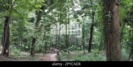 Go Ape Adventure. In Nationalparks und örtlichen Freizeiteinrichtungen gelegen, Holz- und Seilstrukturen für Bewegung. Stockfoto