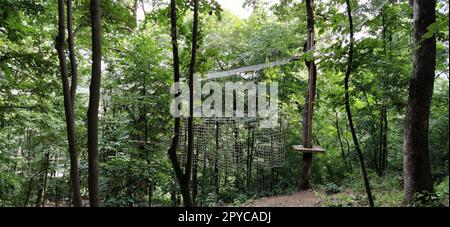 Go Ape Adventure. In Nationalparks und örtlichen Freizeiteinrichtungen gelegen, Holz- und Seilstrukturen für Bewegung. Stockfoto