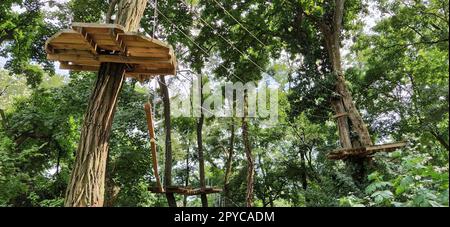 Go Ape Adventure. In Nationalparks und örtlichen Freizeiteinrichtungen gelegen, Holz- und Seilstrukturen für Bewegung. Stockfoto