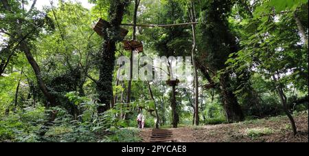 Go Ape Adventure. In Nationalparks und örtlichen Freizeiteinrichtungen gelegen, Holz- und Seilstrukturen für Bewegung. Stockfoto