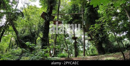 Go Ape Adventure. In Nationalparks und örtlichen Freizeiteinrichtungen gelegen, Holz- und Seilstrukturen für Bewegung. Stockfoto