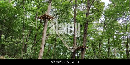 Go Ape Adventure. In Nationalparks und örtlichen Freizeiteinrichtungen gelegen, Holz- und Seilstrukturen für Bewegung. Stockfoto