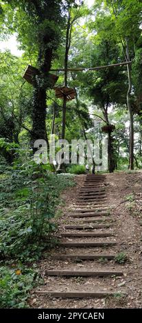 Go Ape Adventure. In Nationalparks und örtlichen Freizeiteinrichtungen gelegen, Holz- und Seilstrukturen für Bewegung. Stockfoto