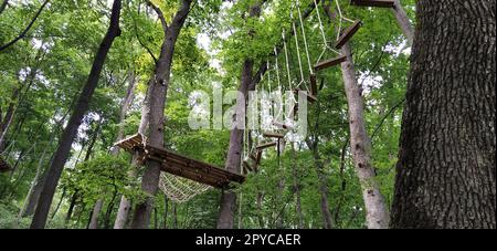 Go Ape Adventure. In Nationalparks und örtlichen Freizeiteinrichtungen gelegen, Holz- und Seilstrukturen für Bewegung. Stockfoto