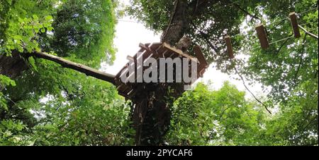 Go Ape Adventure. In Nationalparks und örtlichen Freizeiteinrichtungen gelegen, Holz- und Seilstrukturen für Bewegung. Stockfoto