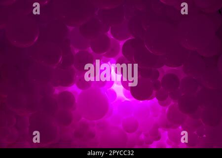 Pinkfarbener Hintergrund mit fliegenden Ballons – klares Design, abstraktes realistisches 3D-Banner. Stockfoto