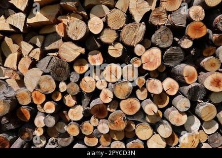 Stapel von Brennholz für den Winter vorbereitet Stockfoto