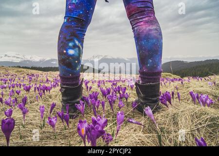 Nahaufnahme weiblicher Wanderbeine, die auf einem Crocus-Trockenfeld-Konzeptfoto stehen Stockfoto