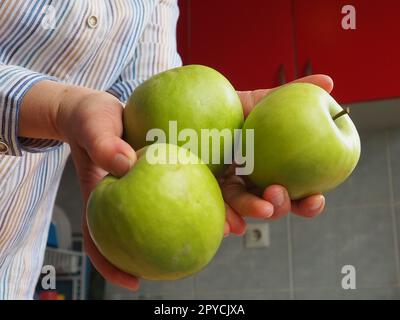 Äpfel in der Hand. Die Frau hält drei grüne Äpfel in der Hand und bietet sie dem Betrachter an. Bio-Lebensmittel. Frisches Obst zum Essen. Großer saurer Apfel. Weißes Hemd mit Streifen. Küche mit roten Möbeln Stockfoto