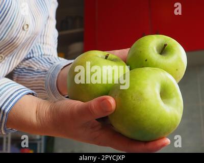 Äpfel in der Hand. Die Frau hält drei grüne Äpfel in der Hand und bietet sie dem Betrachter an. Bio-Lebensmittel. Frisches Obst zum Essen. Großer saurer Apfel. Weißes Hemd mit Streifen. Küche mit roten Möbeln Stockfoto