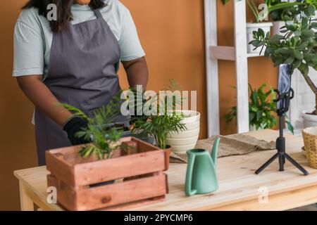 afroamerikanerin Bloggerin Influencer arbeitet an Heimvideokamera Selfie-Dreharbeiten kümmern sich um Heimpflanzen und Pflanze in Blumentopf. Hausgärtnerei und Blumenkonzept. Stockfoto