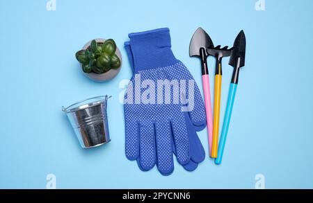 Miniaturgartenwerkzeuge für die Pflanzung von Pflanzen, Hobby Stockfoto