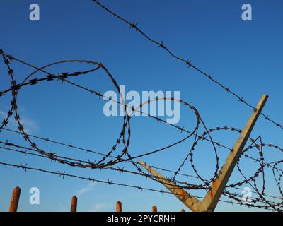 Stacheldraht im Strang und gedehnt gegen den blauen Himmel. Stacheldraht gegen Diebe und Vandalen. Ein unüberwindbares Hindernis. Rostige Drähte, Reihen, Spiralen und Spulen von Stacheldraht. Stockfoto