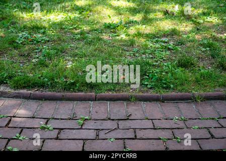 Kolonialer roter Backsteinweg und grüner Rasen im Hintergrund Stockfoto