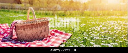 Karierte Picknickdecke mit leerem Korb auf der blühenden Wiese. Stockfoto