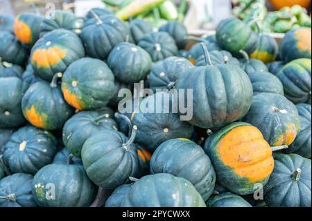 Nahaufnahme grüne und orangefarbene runde Kürbisse Zierrippen, die während der Erntesaison im Oktober in einer Holzkiste auf einem Bauernhof liegen und zum Verkauf angeboten werden Stockfoto