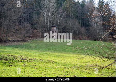 Hirschstand aus Holz auf einem Hügel vor dem Wald, Blick aus der Ferne Stockfoto