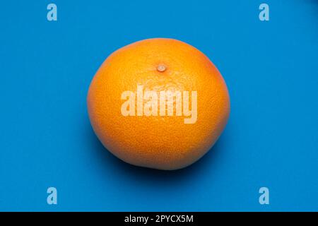 Orange Grapefruit isoliert auf cyanblauem Hintergrund Stockfoto