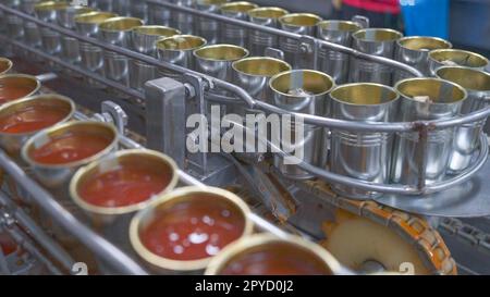 Fischkonservenfabrik. Lebensmittelindustrie. Viele Sardinen auf einem Förderband. Sardinen in roter Tomatensoße in Dosen in der Lebensmittelfabrik. Produktionslinie für die Lebensmittelverarbeitung. Lebensmittelindustrie. Stockfoto