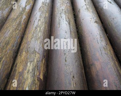 Ein Bauholz für den Einsatz im Bauwesen ohne Längssägen. Rundes Holzsortiment. Bruchstücke der Konstruktion von abgerundeten Holzstämmen. Der Einfluss von Feuchtigkeit auf Holz. Stockfoto