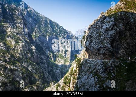 Cares Trail - ruta del cares - in Picos de Europa, Asturien, Spanien Stockfoto