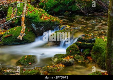 Wasserfall in mata da albergaria Stockfoto