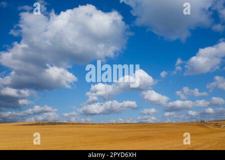 Blick auf ein Erntefeld in Spanien Stockfoto