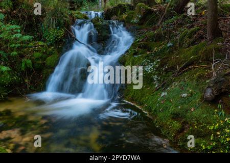 Wasserfall in mata da albergaria Stockfoto