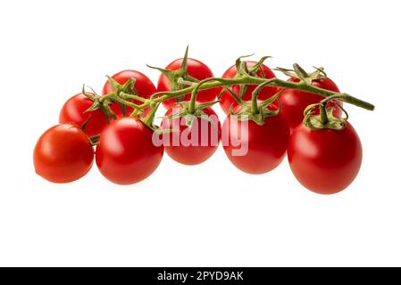 Ein Bündel Piccadilly-Kirschtomaten, isoliert auf weißem Boden, Schneideweg im Preis inbegriffen Stockfoto