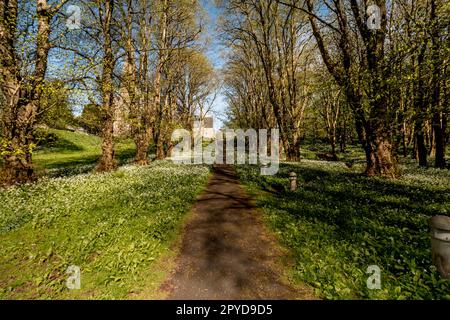 Millport Island westlich von Schottland Landmarks Mai 1. 2023 Stockfoto