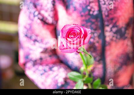 Glückliches kleines Mädchen mit einer Rosenblume. Kindheit und Menschenkonzept. Fröhlicher Mütter- oder Vatertag. Hochwertiges Foto. Stockfoto