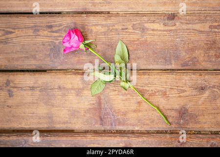 Romantische magentafarbene Rosenblume auf altbraunem Holzhintergrund. Draufsicht mit Kopierbereich. Grußkarte für Mütter oder Frauen. Hochwertiges Foto. Stockfoto