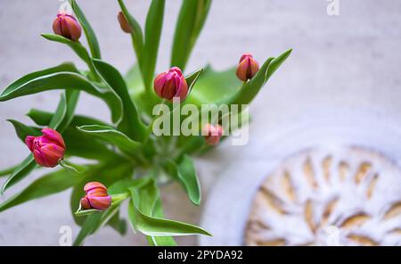 Ein Strauß Tulpenblumen im Fokus und ein hausgemachter Dessertkuchen im Hintergrund. Ein Geschenk für Mütter oder Frauen. Frühstück am frühen Morgen. Hochwertiges Foto. Stockfoto