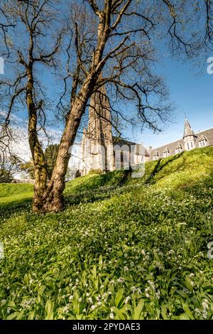 Millport Island westlich von Schottland Landmarks Mai 1. 2023 Stockfoto