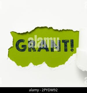 Berechtigung für konzeptionelle Anzeige. Internet-Konzeptgeld, das von einer Organisation oder Regierung für ein zweckmäßiges Stipendium vergeben wird Stockfoto