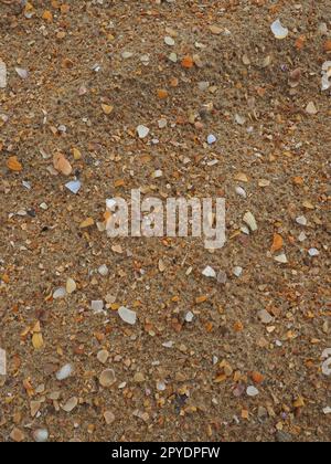 Sand mit Muschelhintergrund. Nasser grober Quarzsand. Kaputte Muscheln. Strand nach starkem Regen. Kieselgel. Quarzsand, natürlich braunes Material nach Sturm. Dellen von Tropfen im Sand. Anapa Stockfoto