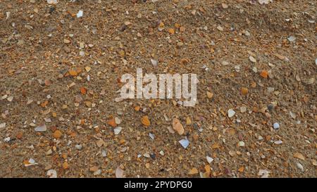 Sand mit Muschelhintergrund. Nasser grober Quarzsand. Kaputte Muscheln. Strand nach starkem Regen. Kieselgel. Quarzsand, natürlich braunes Material nach Sturm. Dellen von Tropfen im Sand. Anapa Stockfoto