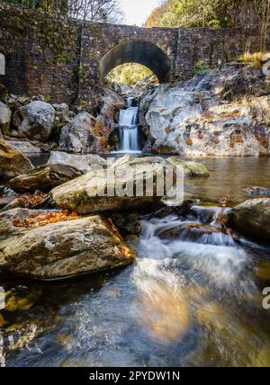 Sunburst Falls Stockfoto