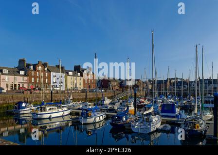 Yachten und Vergnügungsboote liegen im neuen Yachthafen vor Anker mit schwimmenden Pontons im Hafen von Arbroath an einem schönen Summers-Morgen. Stockfoto