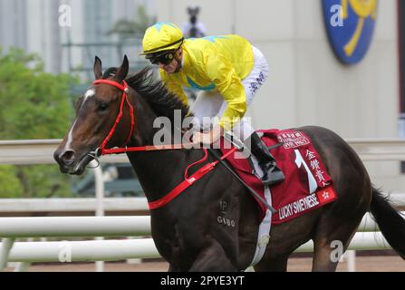 Rennen 5, LUCKY SWEYNESSE, geritten von Zac Purton, gewann DEN CHAIRMAN's SPRINT PREIS (Gruppe 1, 1200m) in Sha Tin. 30. April 23 SCMP/Kenneth Chan. Stockfoto