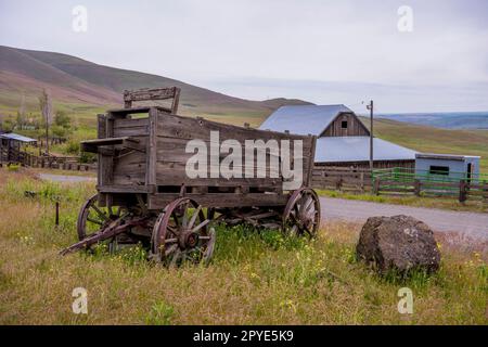 Ein alter Holzwagen auf der historischen Dalles Mountain Ranch bei Lyle im Klickitat County, Washington, USA. Stockfoto