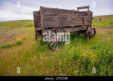 Ein alter Holzwagen auf der historischen Dalles Mountain Ranch bei Lyle im Klickitat County, Washington, USA. Stockfoto