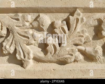 Ziergegenstände, skulpturelle Zeichnung strukturierter Pflanzenelemente. Dekoration der Wand mit Stuck in Dubrovnik, Kroatien. Ein Stück Shamrocks. Acanthus ist eine pflanzliche Vegetation, Blätter sind Stuckelemente. Stockfoto