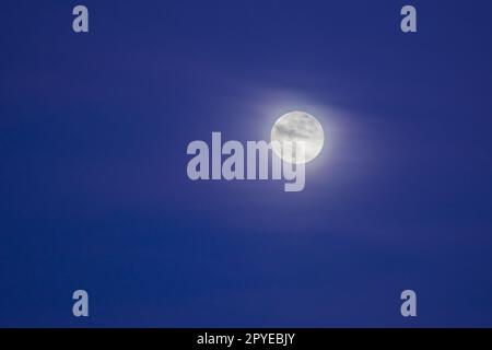 mond mit weichen Wolken am Himmel während der blauen Stunde Stockfoto