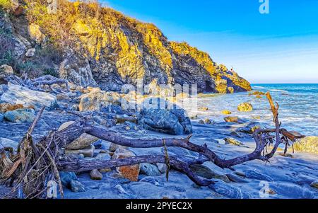 Wunderschöner pazifik Strand mit angespültem Baumstamm Holz Mexiko. Stockfoto