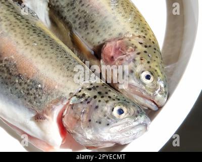 Zwei Forellenfische auf einem weißen Teller. Frischer essbarer Fisch aus nächster Nähe. Glänzende Schuppen am Körper, durchsichtige Augen der Fische. Reich an Omega-3 ungesättigten Fettsäuren für eine gesunde Ernährung. Mediterrane Diät Stockfoto