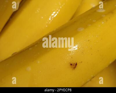 Nasse Bananen. Waschen Sie Gemüse und Obst gründlich mit Wasser und Seife. Prävention von Infektionskrankheiten. Gelbe Bananen aus der Nähe. Vegetarismus. Hoher glykämischer Index. Seifenschaum glitzert bei Sonnenlicht Stockfoto